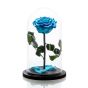 Blue cryogenic rose